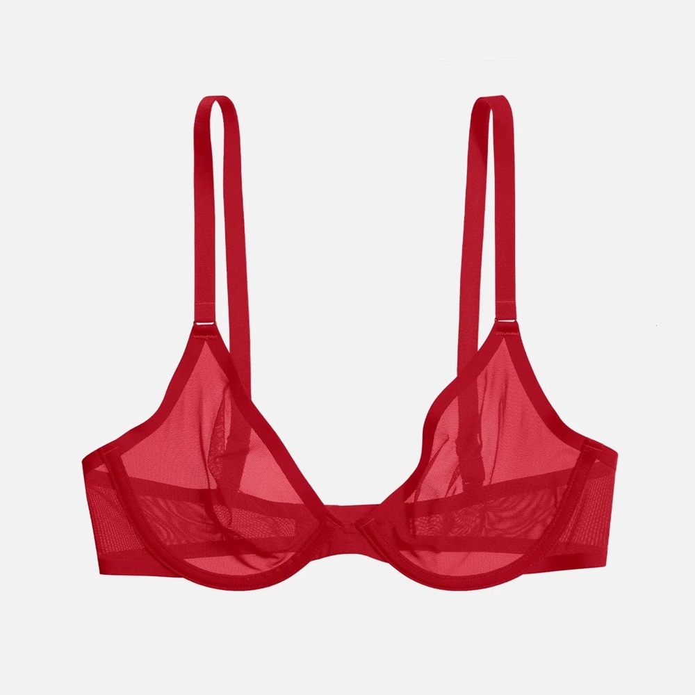 NWT 34h plunge sheer mesh bra
